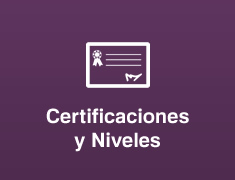 btn niveles certificaciones